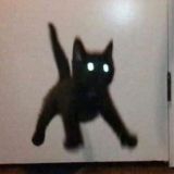 ~✨тарелка пельменей✨~