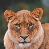 Pride Platform w/ @happy_wife_and mom