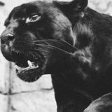 ✖️OhMyLove✖️