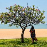 Профессия: путь к себе