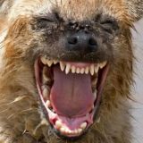 ОБОССАТЬСЯ😂😂😂