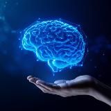 💥 𝑼𝑺𝑨 𝑽𝑰𝑷 𝑪𝑨𝑷𝑷𝑬𝑹𝑺 💥