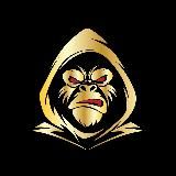 MAX P2P | СВЯЗКИ