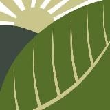 Зеленый буфет