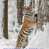 Красивые и интересные места Приморского края и Владивостока