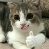 Слёзы радости