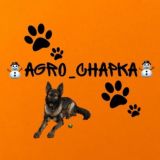 ᴀɢʀo|ᴄʜᴀᴘᴋᴀ✌️❤️🔥