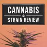 📢 Отзывы Агента 📢