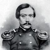 Сливы от Шокана