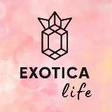 Exotica Life