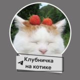 "Клубничка на Котике" [Заморожен]