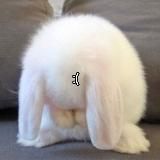 мёртвый дом