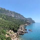 ГБУ Севастополя «Дирекция ООПТ и лесного хозяйства»