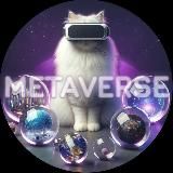 Metaverse Like Life