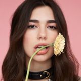 Dua Lipa (Discography)