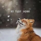 Лиса Алеся 🦊