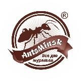 AntsMinsk Official ❤️