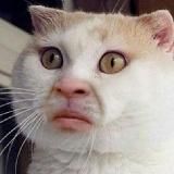 Мохнатые ПОПКИ