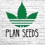 Plan Seeds