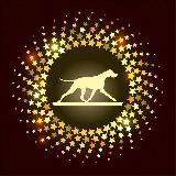 СпортШоуКлуб