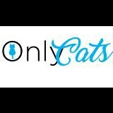 𝔾𝕒𝕥𝕠𝕤 😻 ℂ𝕒𝕥𝕤 🐈⬛