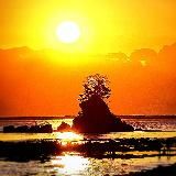 🇯🇵🗾🎍👹🎎🌸👘🎏🎐🎋🏮🍁🍶🍱🪭🎌