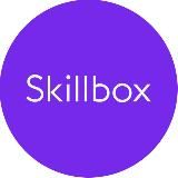 СЛИВ КУРСОВ SKILLBOX