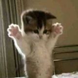 язычки и темы’