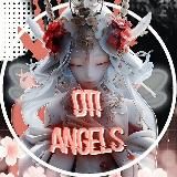 ⤜DTI ANGELS⤛