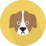 Worldwide Puppies Buy - Sale 🐶🐩🐕