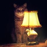 Настало время