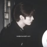 вафельный кот.🌷