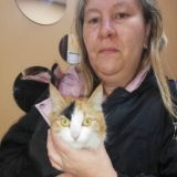 ЧАТ Мохнатые лапки🐈🐈