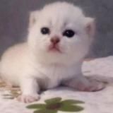 буддизм мое ничего