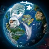 Зоопарк в кармане