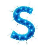 SYNAPSE