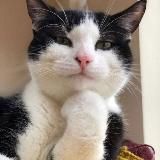 𝗔⃞+ 🟫🟦🟪🟥 /repost_llacker