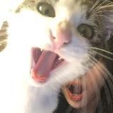 меховая фабрика.mp4