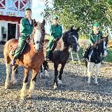 🐴Григорьевские сады🍎🐝😉