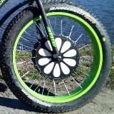 Эко Колесо (Eco Koleso)