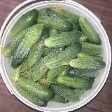 Ведро Огурцов