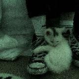 midnight | speed songs | фоны