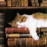 Книжный клуб в Циферблате