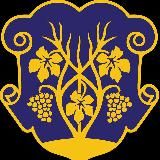 Координаційний центр Ужгорода