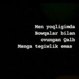 𝔻𝕠'𝕤𝕥𝕝𝕒𝕣 𝕓𝕚𝕝𝕒𝕟 𝕥𝕒𝕟𝕚𝕤𝕙𝕦𝕧