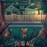 Warrior Cats / Коты–Воители / каты ваитили/ каты вадитили/ каты страитили / кошечки воины / слоники стаи / warriors cats / каты