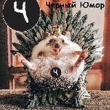 ФЕНИБУТ ФЕНЗИТАТ ДИАЗЕПАМ ЗОПИКЛОН