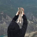 𝐷𝑡𝑣_𝑒𝑣𝑎_