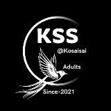 KSS ချန်နယ်များ