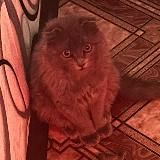 Берлога Тони